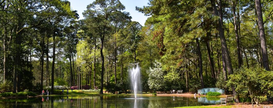 Norfolk Botanical Garden