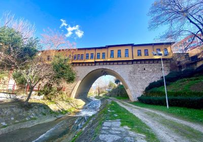 Bursa