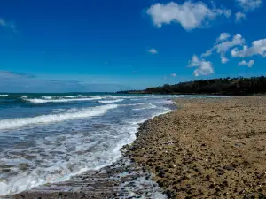 Crawfordsburn Country Park