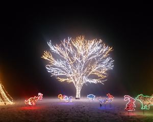 香港-長岡市 機票酒店 自由行