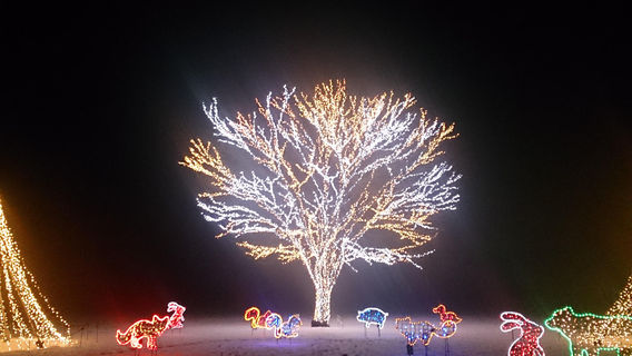 Echigo Hillside Park