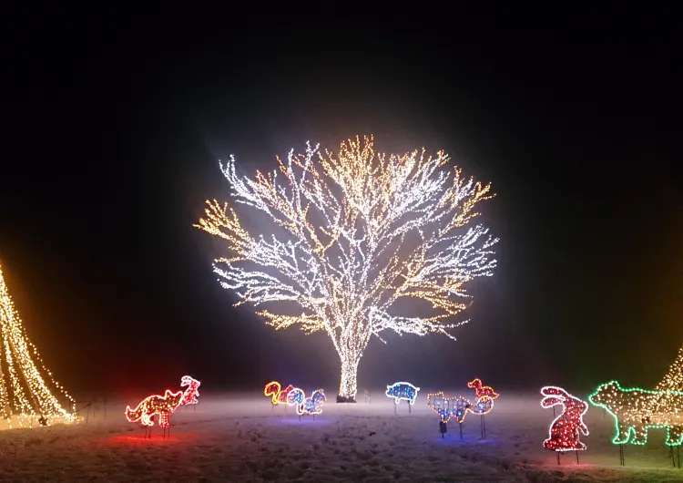 長岡の天気、長岡の気温ガイド、旅のベストシーズン、服装のおすすめ