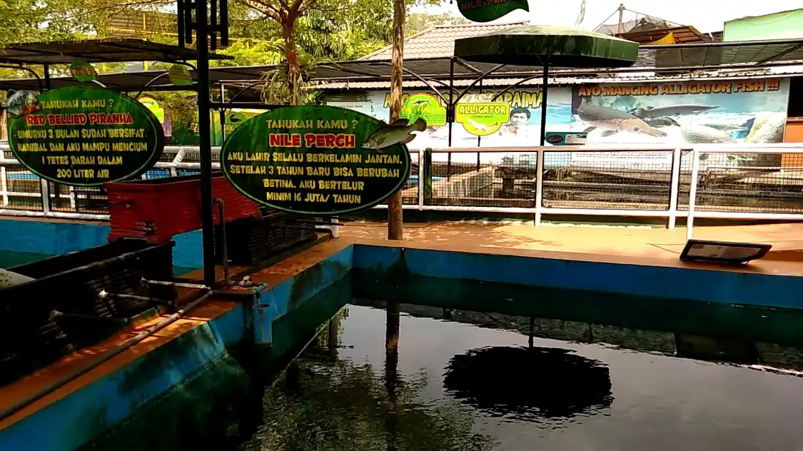 Hotels near Predator Fun Park