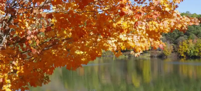 Hotels in Luzerne County