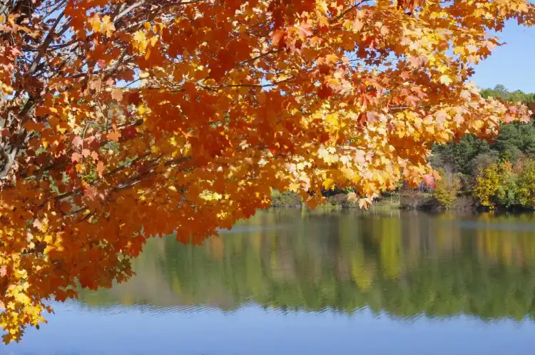 Hotels in Luzerne County