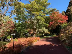 Forest Glade Gardens