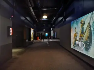 Vue