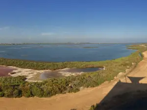 MonNatura Delta de l'Ebre