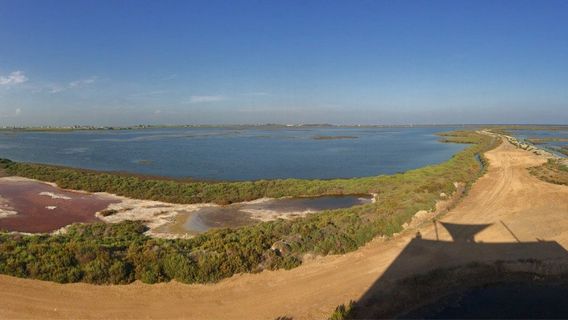 MonNatura Delta de l'Ebre