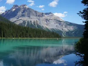 Banff Avenue