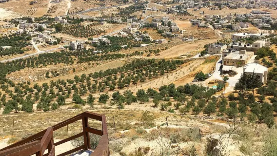 Semua jenis penerjemah, pemandu, mobil sewaan, fotografer, pendamping bisnis, pendamping medis, pemandu wisata, dan layanan perjalanan khusus di seluruh Arab Saudi