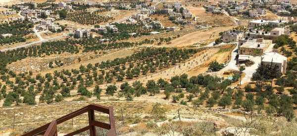 Khách Sạn Có Wi-Fi Tại Palestine