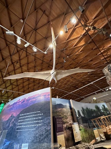 ${{cityDName}} Alpine uçak bileti