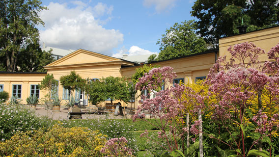 Linnaeus garden