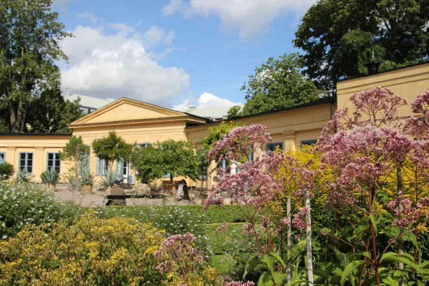 Linnaeus garden