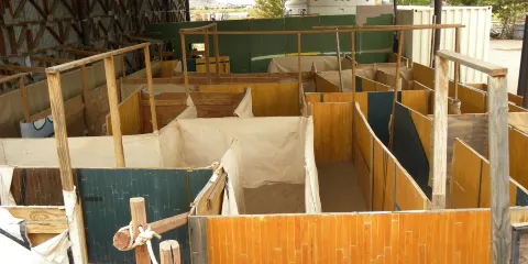 Staheli Family Corn Maze