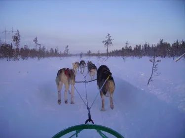 Giewont Husky Adventures
