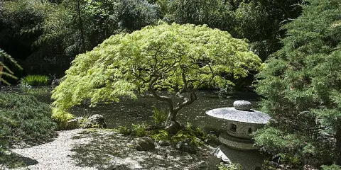 John P. Humes Japanese Stroll Garden