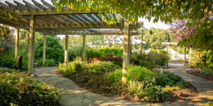 Botanical Garden of the Ozarks