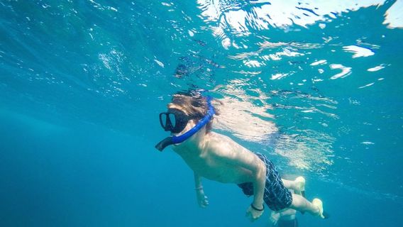 The Snorkel Store