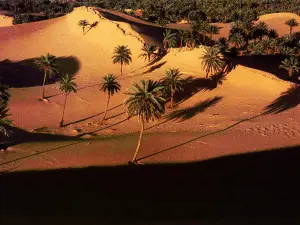 Ain Salah Sand Dune