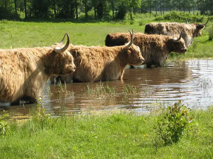 Hotels in der Nähe von Hothfield Heathlands Nature Reserve