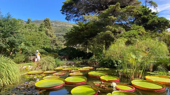 Jardin Botanique et Exotique Val Rahmeh