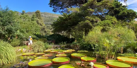 瓦爾外來植物園