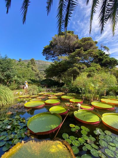 Jardin Botanique et Exotique Val Rahmeh