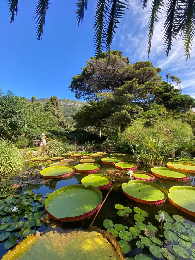 Hotels near Jardin Botanique et Exotique Val Rahmeh