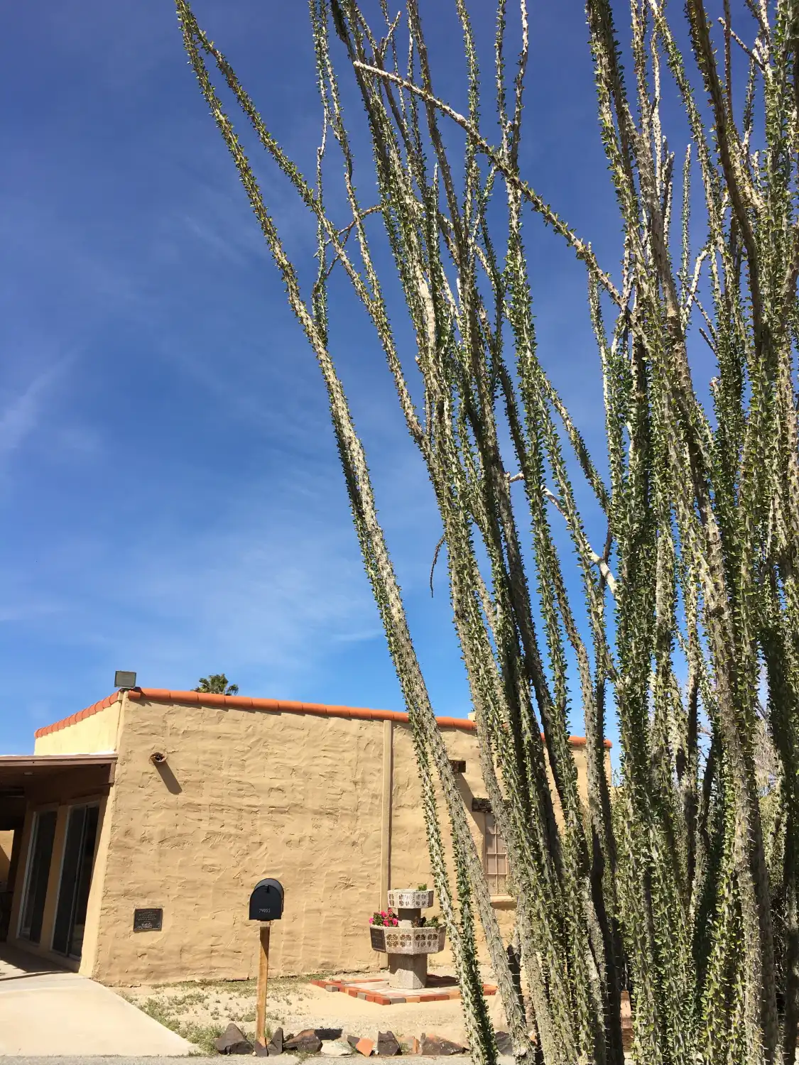 Hotels near 29 Palms Art Gallery