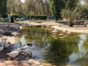 Al Areen Wildlife Park