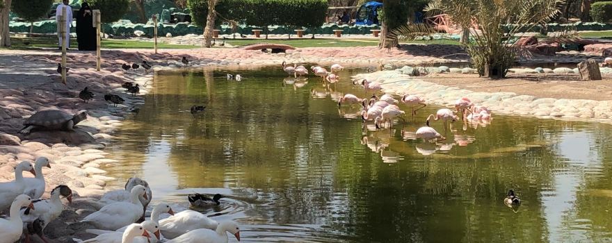 Al Areen Wildlife Park