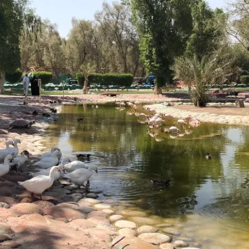 Al Areen Wildlife Park