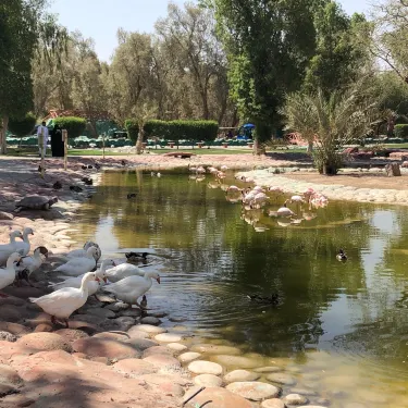Al Areen Wildlife Park