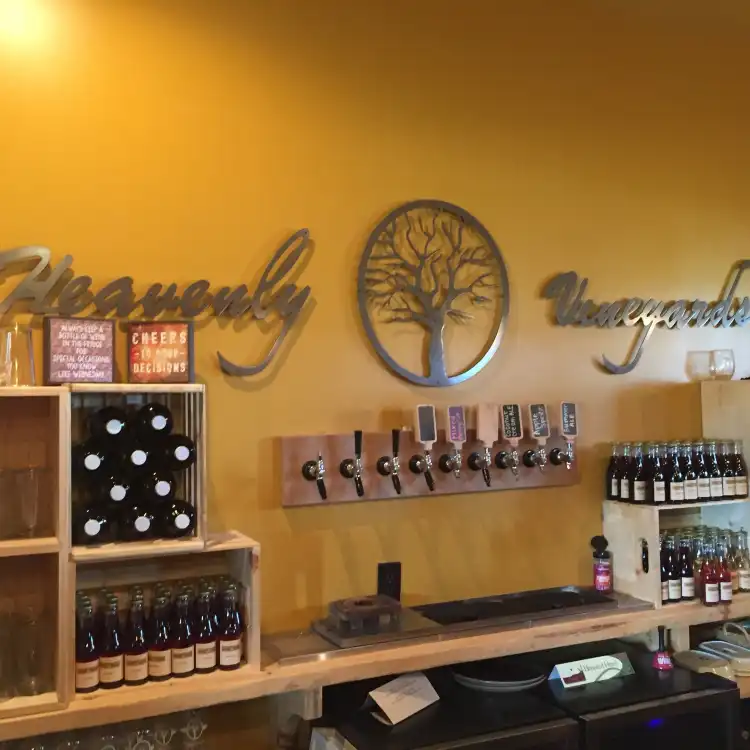 Hotels in Mecosta County