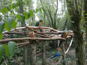 Le parc des Perroquets