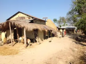 Chitwan Tharu Village