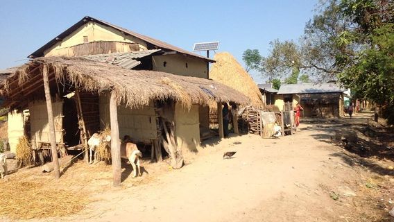 Chitwan Tharu Village