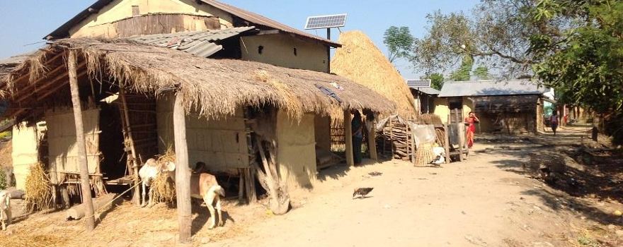 Chitwan Tharu Village
