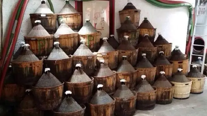 4_azienda agricola piona angelo e luigi
