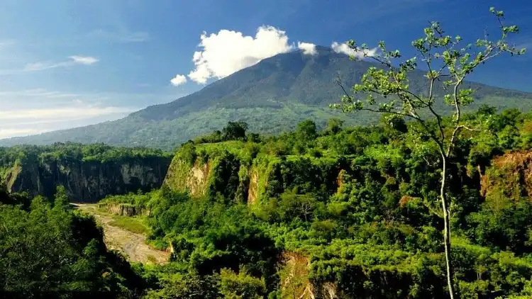 Hotels in Koto Tangah