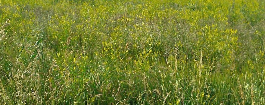 Ferme Biologique le Bouc et la Treille
