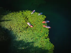 Paddle Surf Bacina Lakes