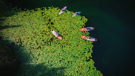 Paddle Surf Bacina Lakes