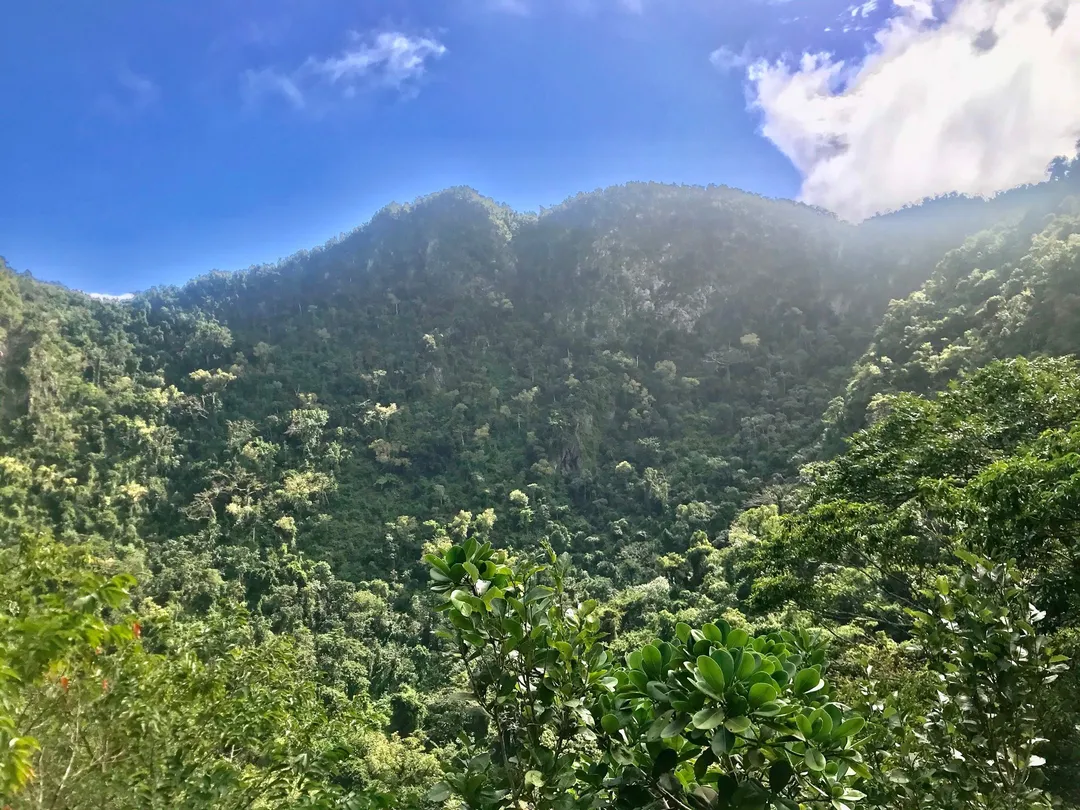 3_Quill National Park