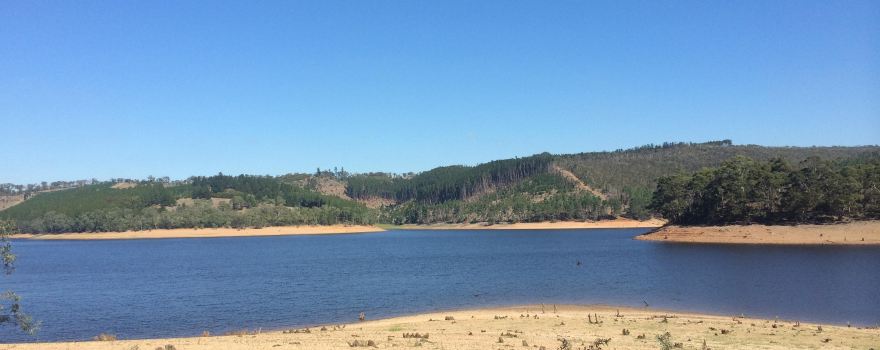 Mount Bold Reservoir