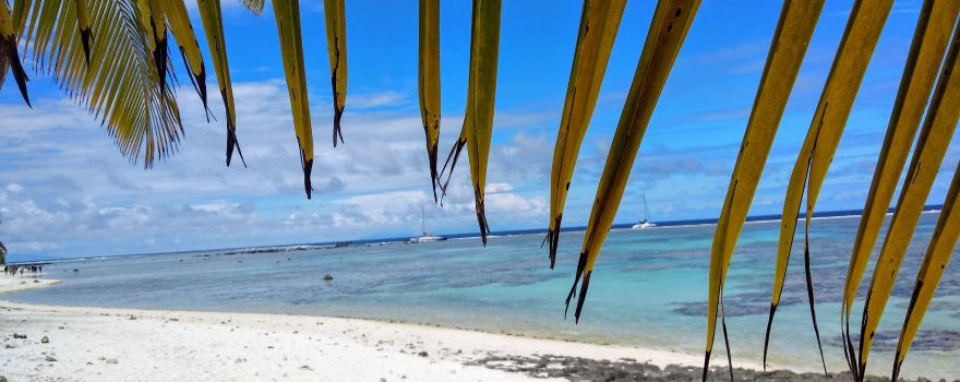 Excursion Tetiaroa