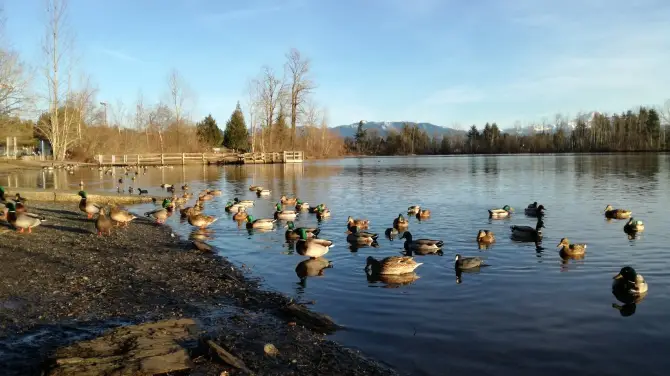 3_Mill Lake