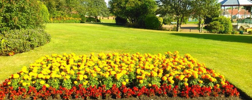 Horden Welfare Park
